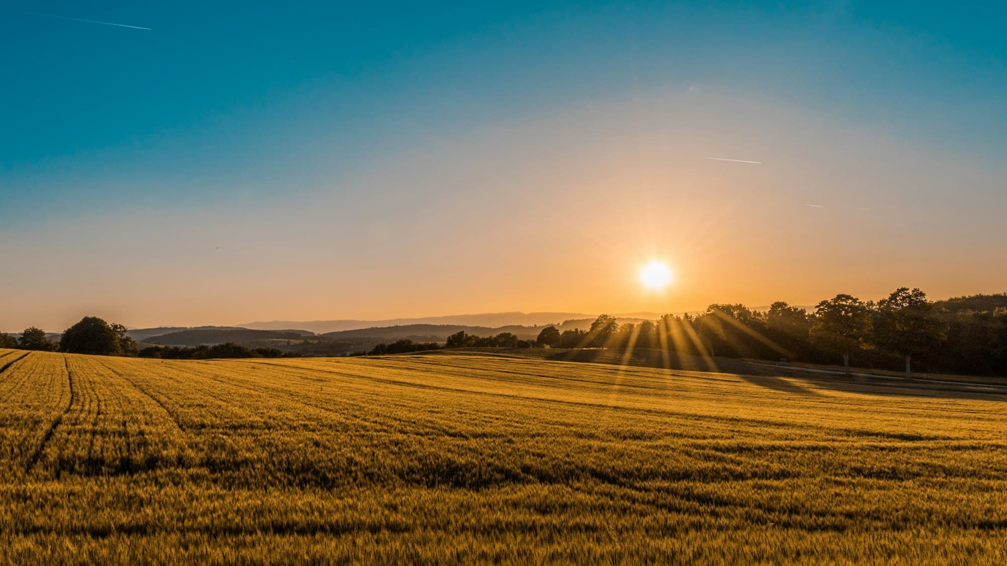Golden evening light over open fields