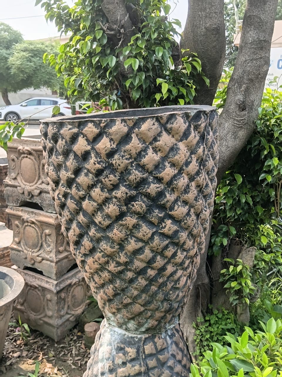 Pineapple Planter